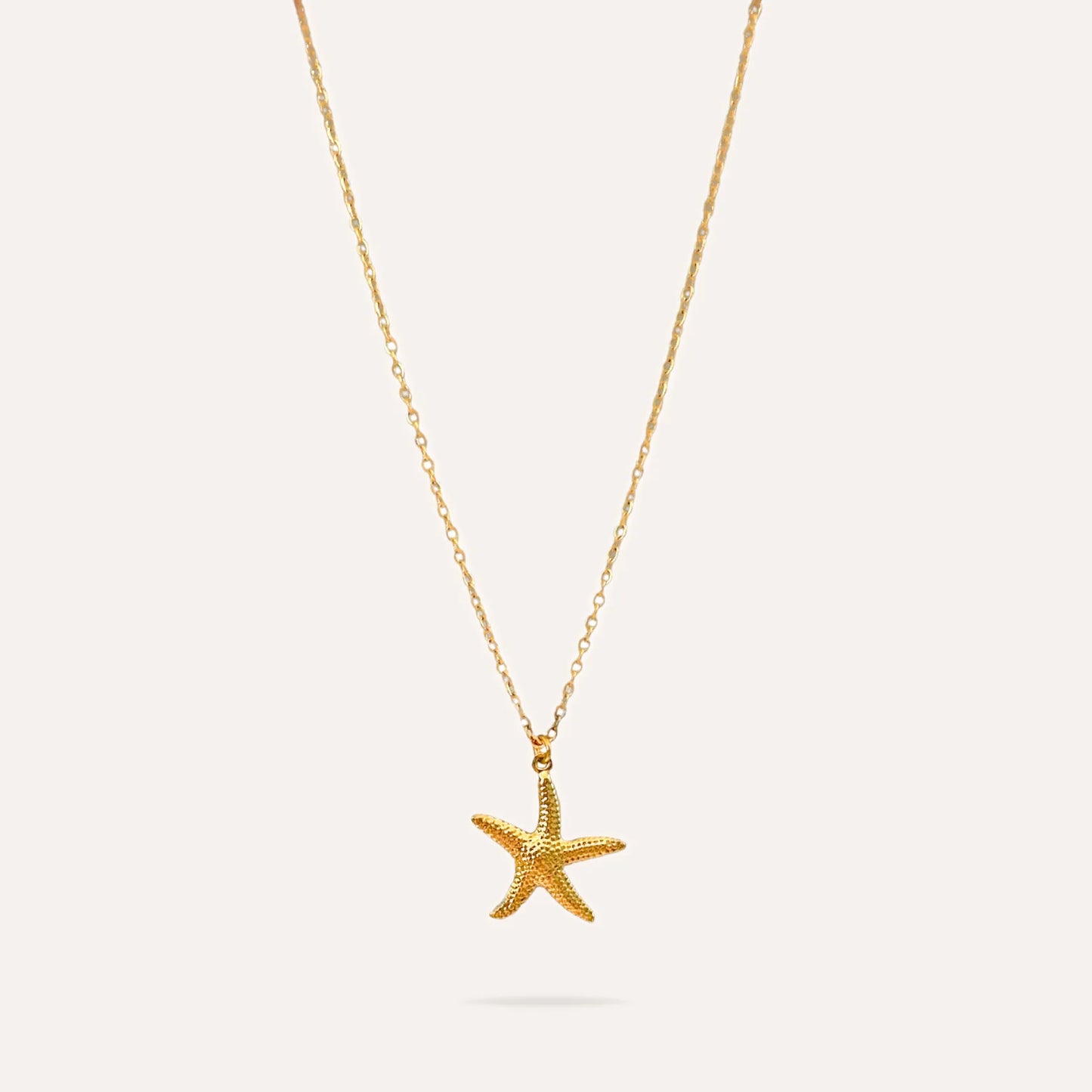 Miranda | Stainless steel collar
