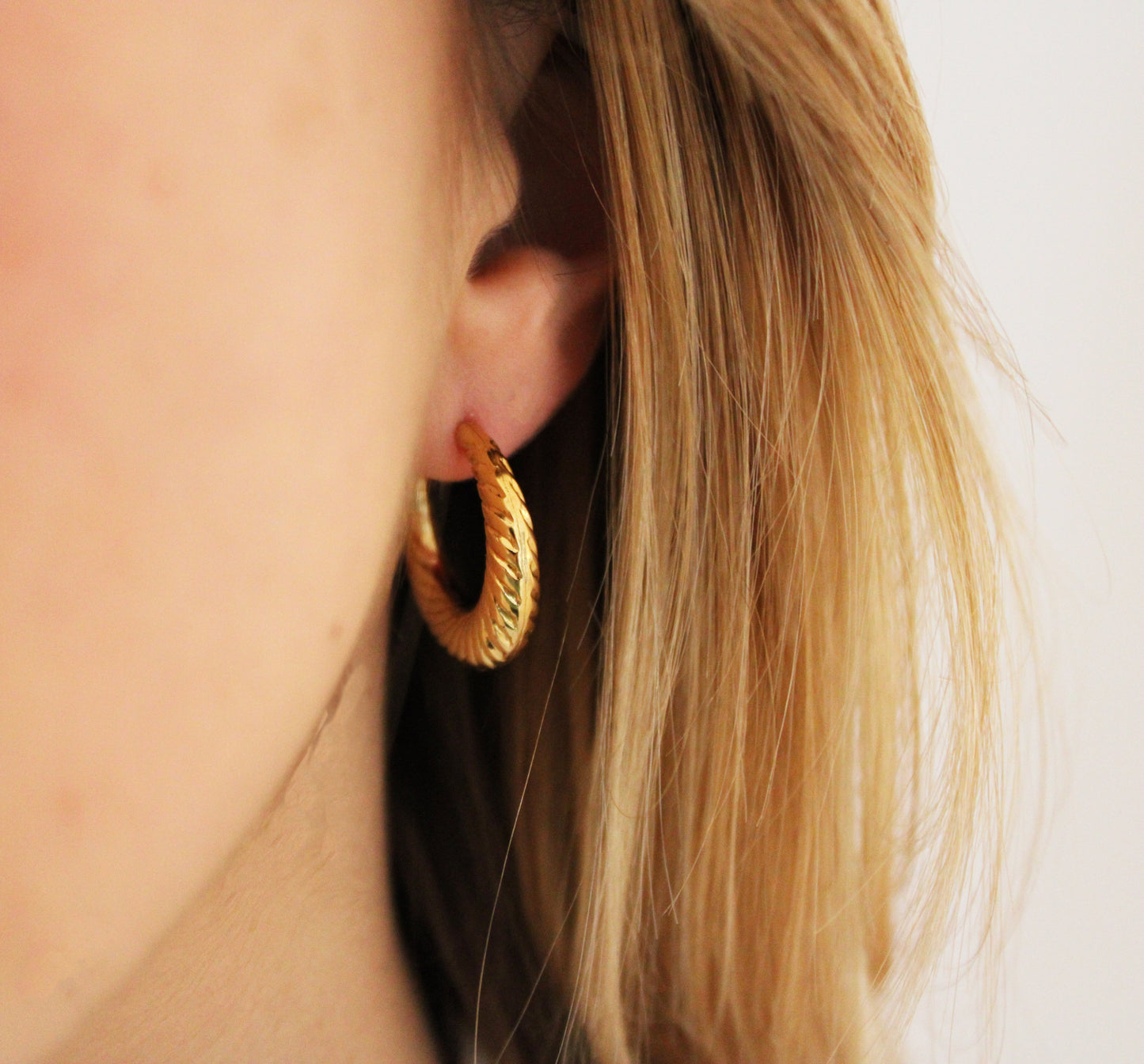 Alexia | Stainless steel earrings
