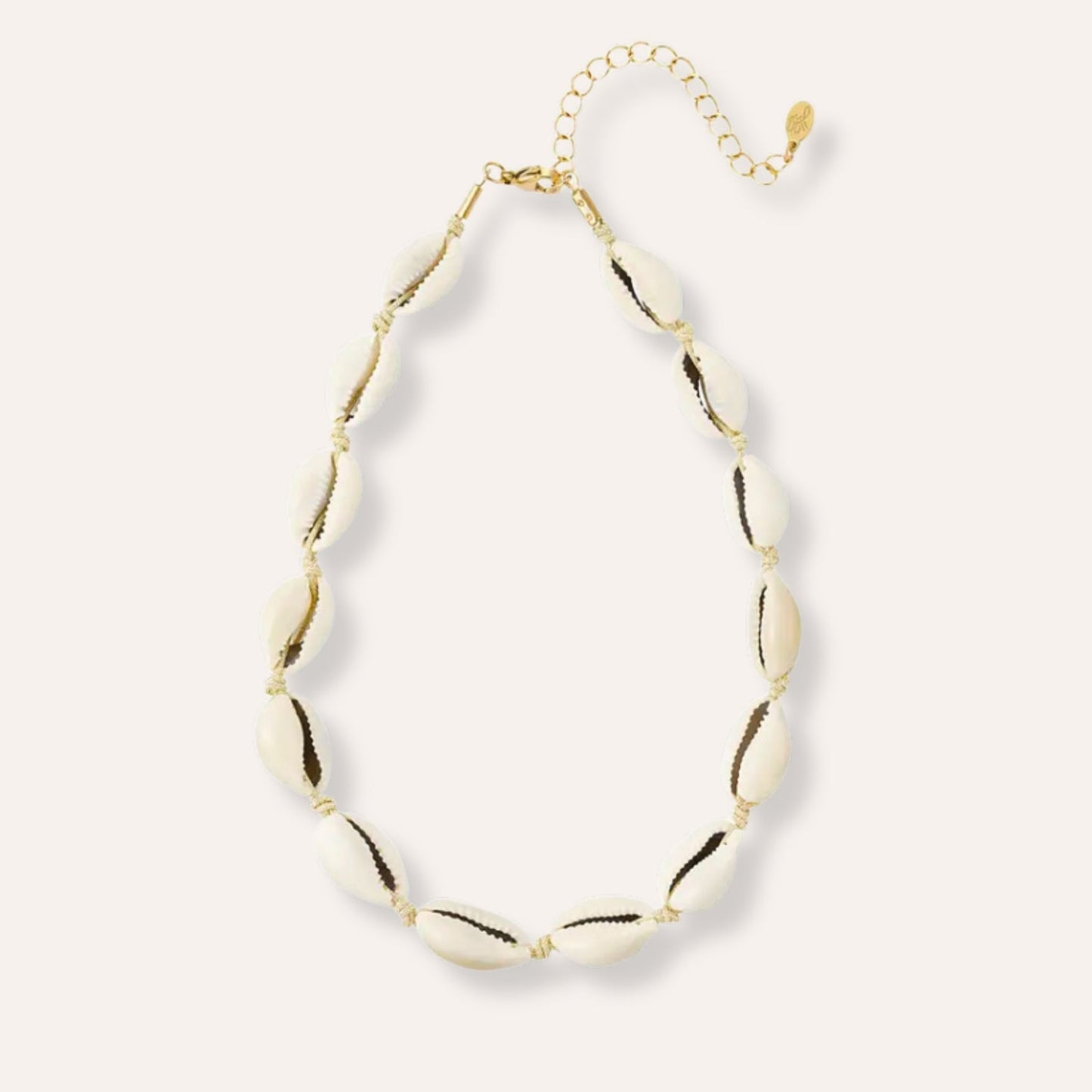 Sarah | Necklace in shells and stainless steel